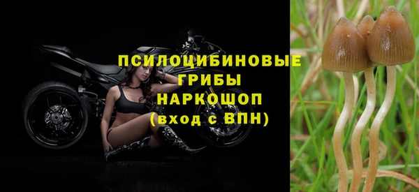 героин Белокуриха